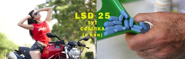 спайс Кодинск