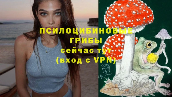 МДПВ Козельск