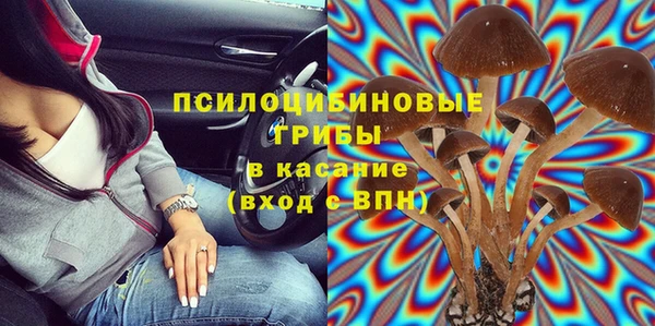 прущая мука Козловка