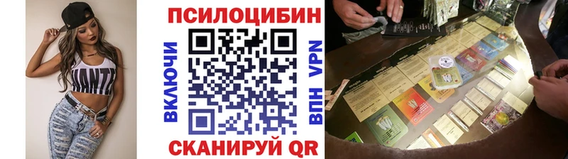Псилоцибиновые грибы Cubensis  Купить  Карачев 