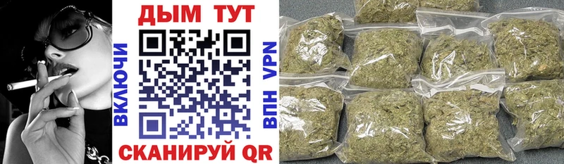 Купить где Карачев Конопля планчик